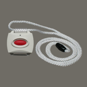 Panic Button - ThinkPro Home Security